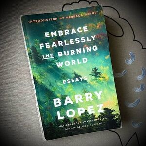 Book: Embrace Fearlessly The Burning World